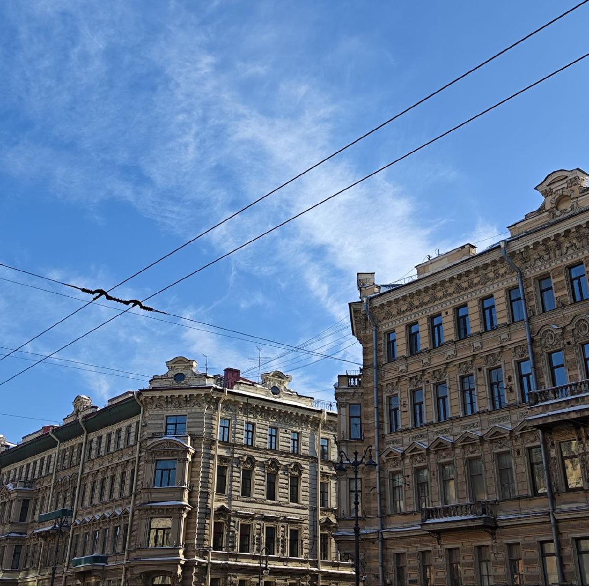 Featured image of post Сегодня принесла вам петербургского неба и геометрий 🥰