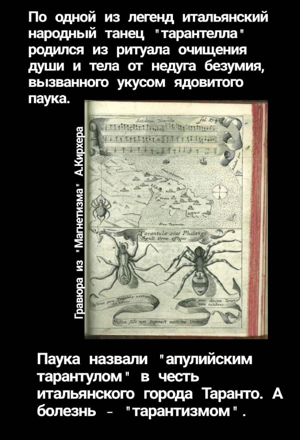 Featured image of post #2026годМузыкигодВолшебства