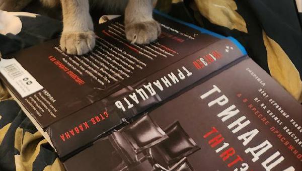 Featured image of post Читаем 😼
