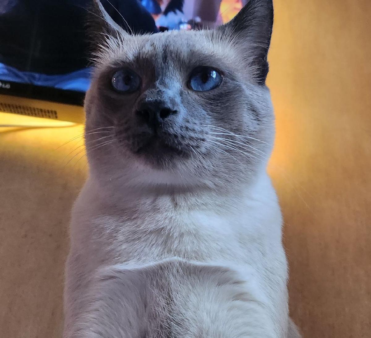 Featured image of post Не рано мы проснулись?