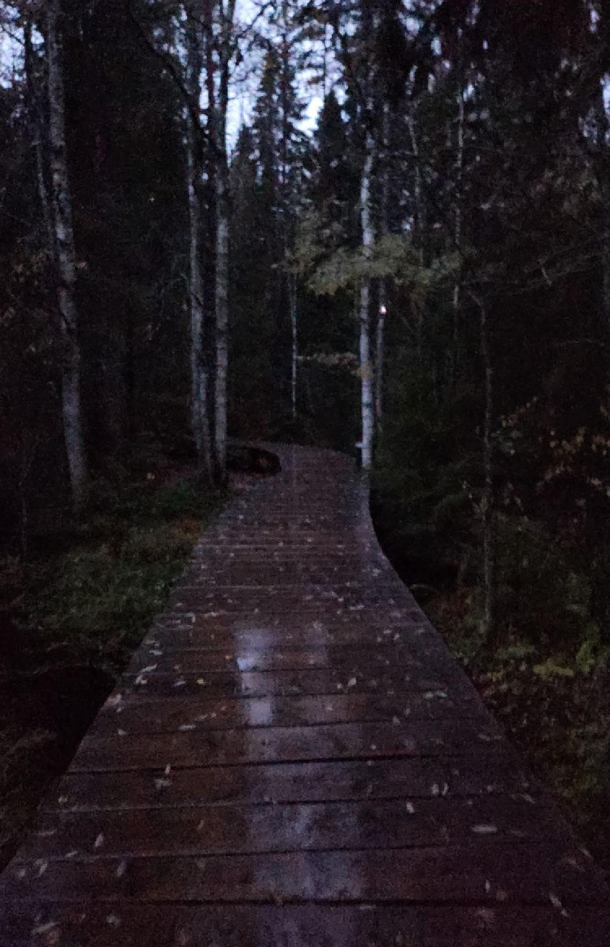 Featured image of post Без названия