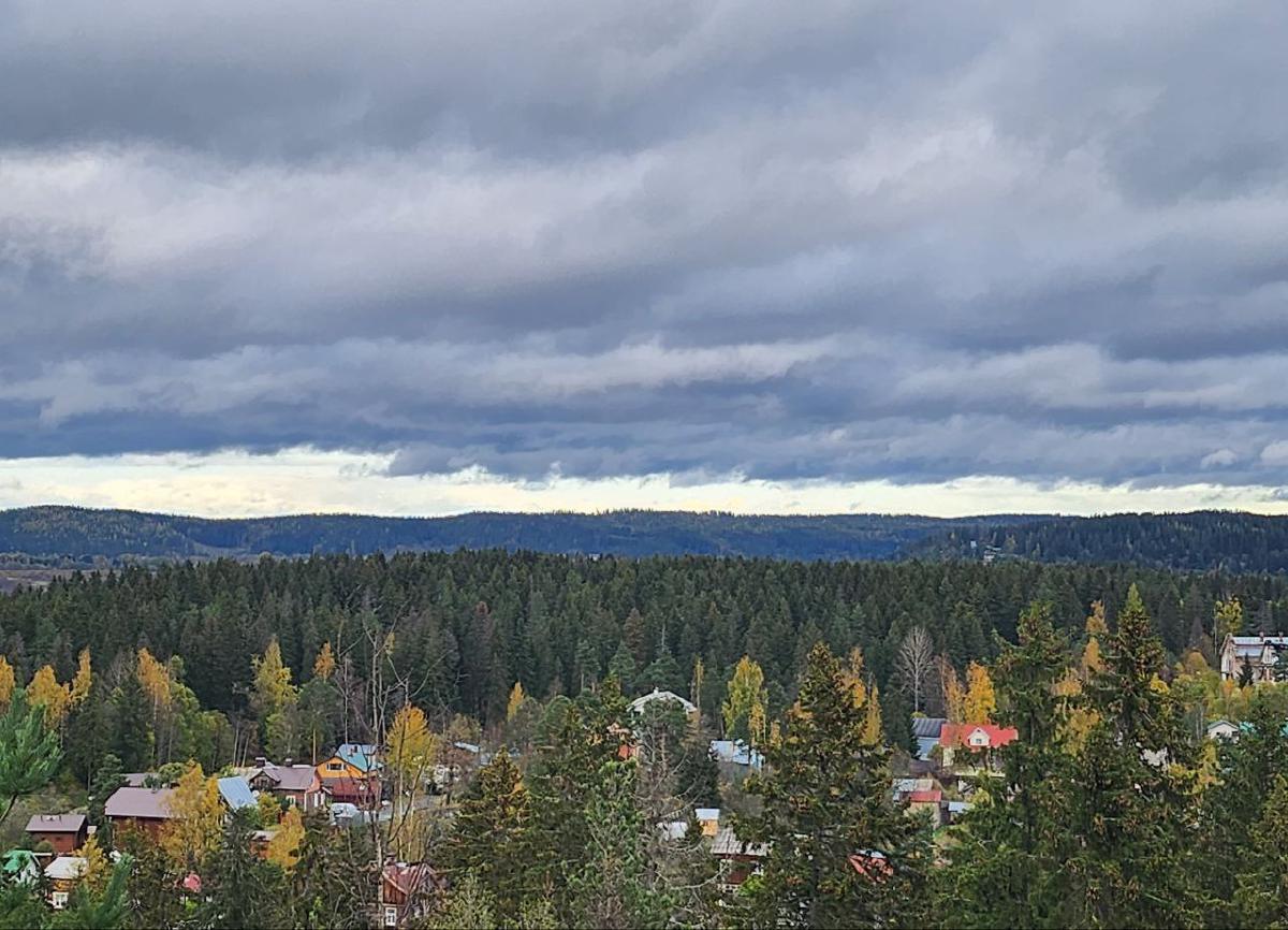 Featured image of post Без названия