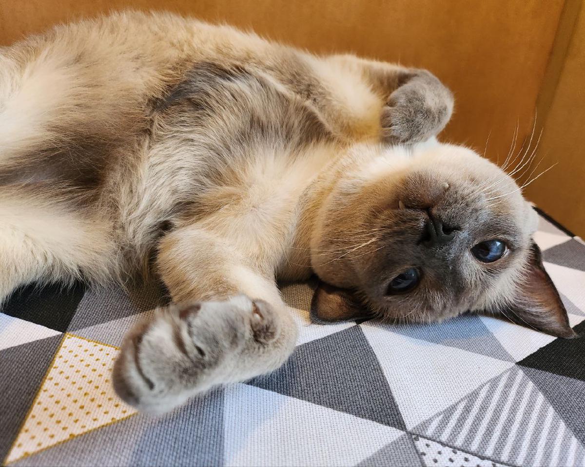 Featured image of post Дайте мне книгу, и я переверну мир 😼
