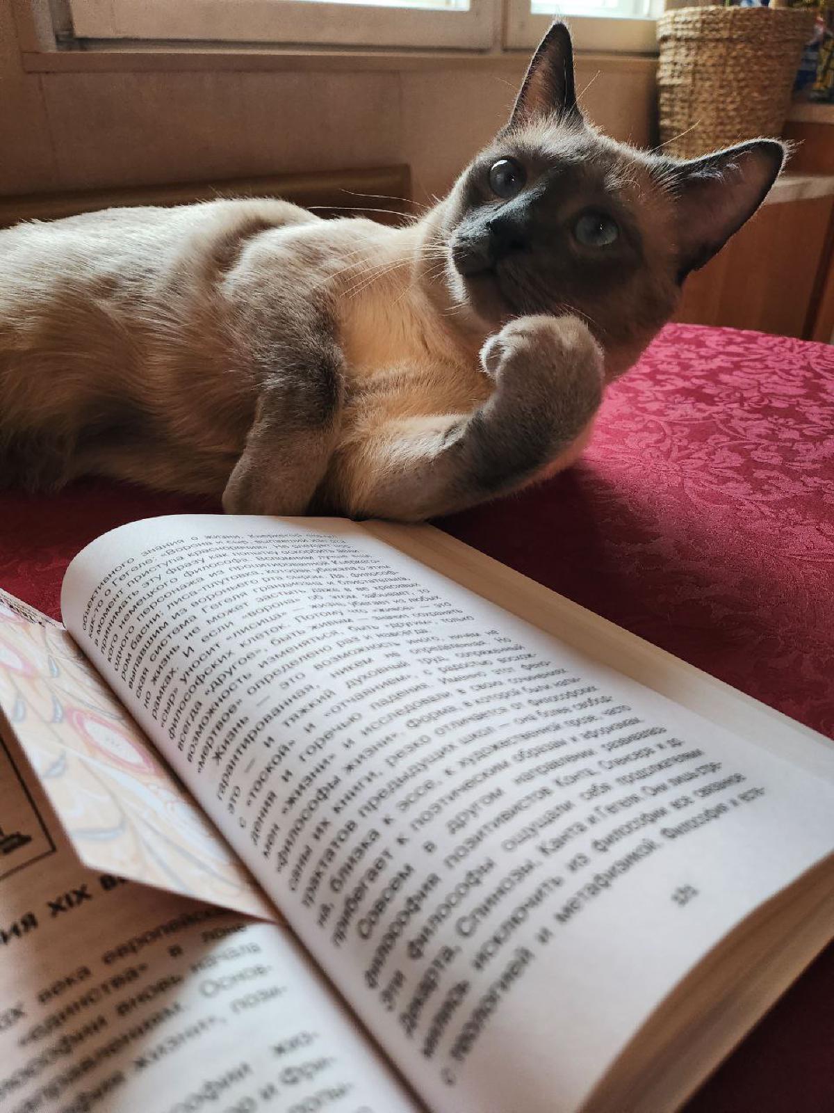Featured image of post Читай, не отвлекайся!