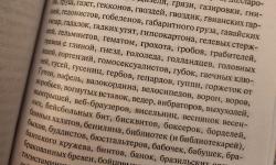 Featured image of post Читаю что-то странное, ну очень, даже по моим меркам 😅 а я люблю странное: часто странное не кажется мне странным, а тут кажется 😁