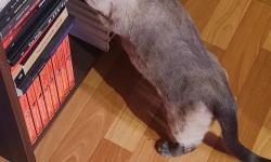 Featured image of post Так-так-так... Что тут у нас новенького?