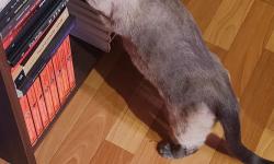 Featured image of post Так-так-так... Что тут у нас новенького?