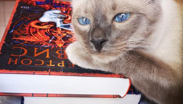 Featured image of post Ну, когда уже книги будешь показывать? 😼 #чточитаетКот