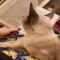 Котий боХ, опять завумь читает 🥱 Сама читает, самой непонятно 😼