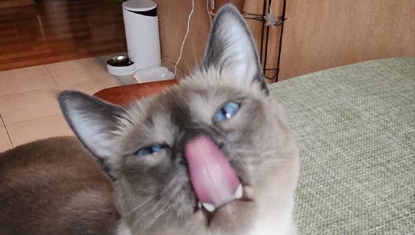 Featured image of post Если сделаешь так, то сможешь перевернуть страницу 😼