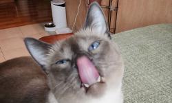 Featured image of post Если сделаешь так, то сможешь перевернуть страницу 😼