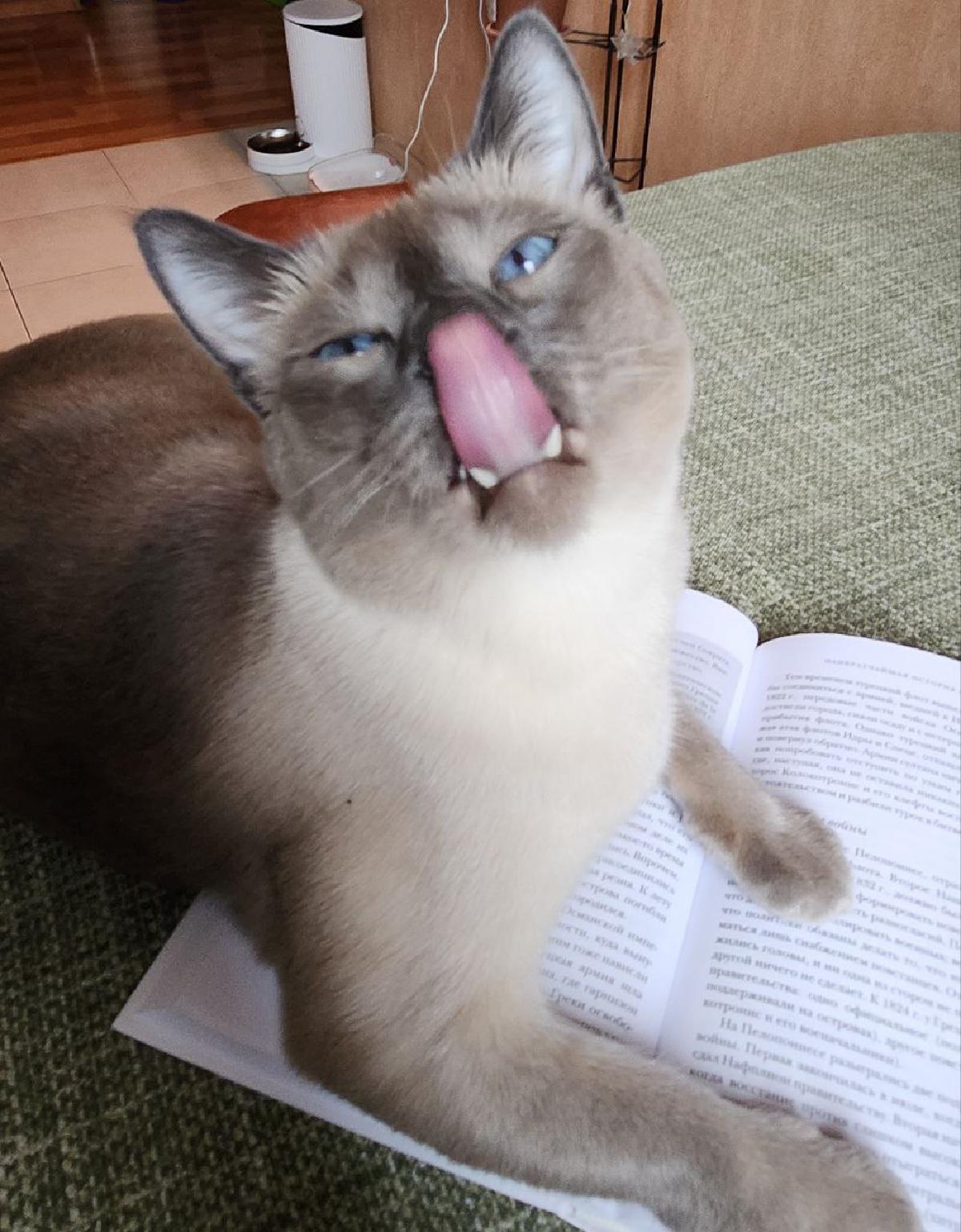 Featured image of post Если сделаешь так, то сможешь перевернуть страницу 😼