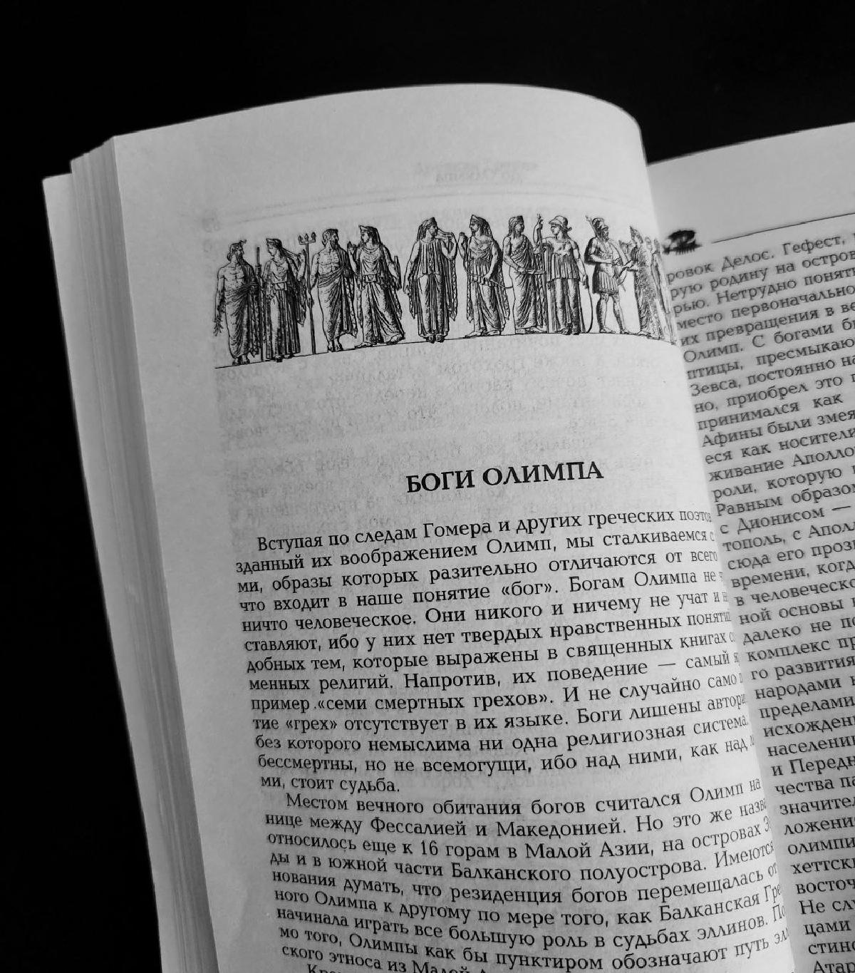 Featured image of post Мини-отчёт о #2024годДревнихГреков