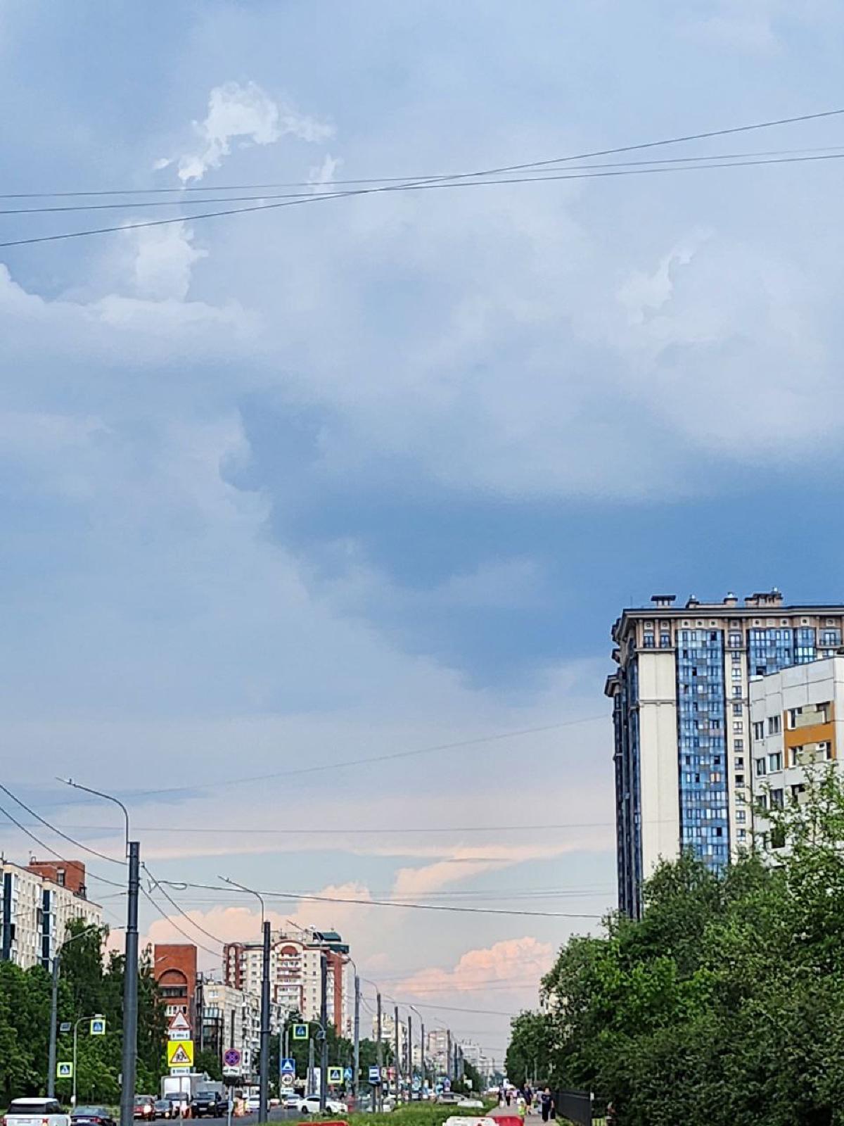 Featured image of post Через пару часов обещают грозу 😊
