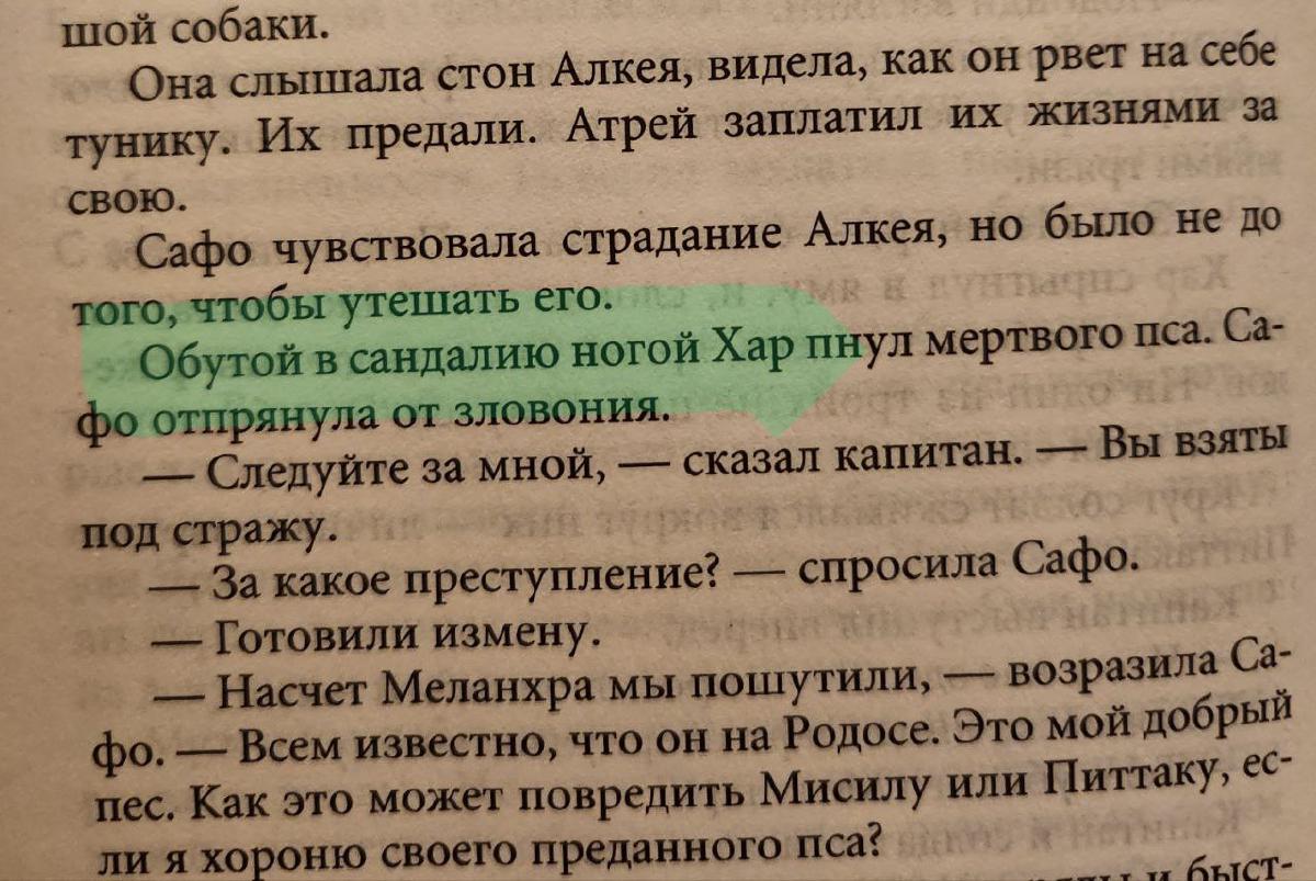 Featured image of post Наконец-то я продолжила чтение "Сафо" Фридман 😅