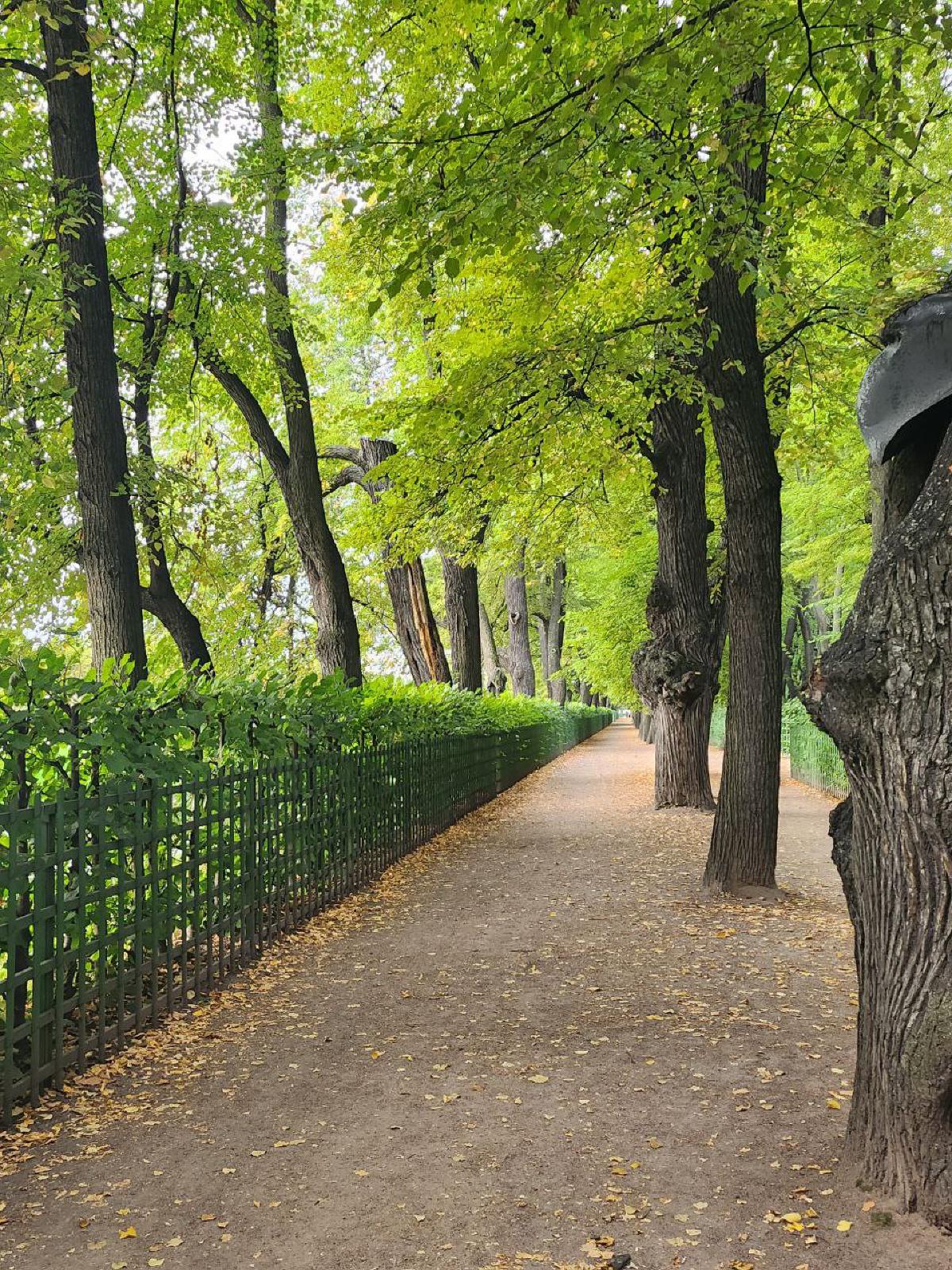 Featured image of post Традиционное посещение огорода в Летнем саду 😊