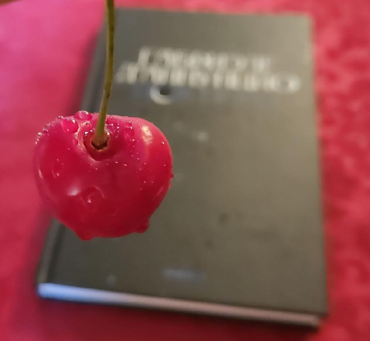Featured image of post Редкая новинка 😌 потому что сразу попала в читаемое. Красивый текст 🌒