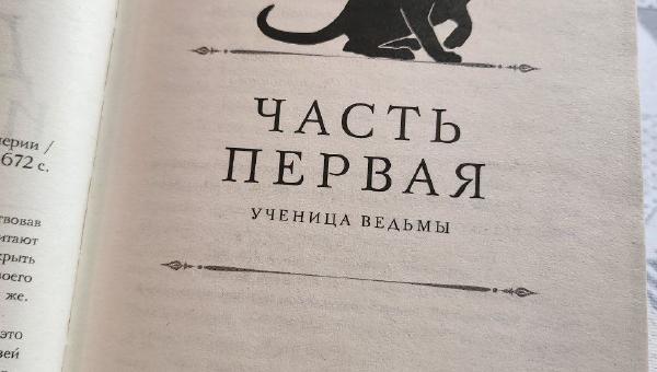 Featured image of post #читаюсейчас Демона из Пустоши 🤔