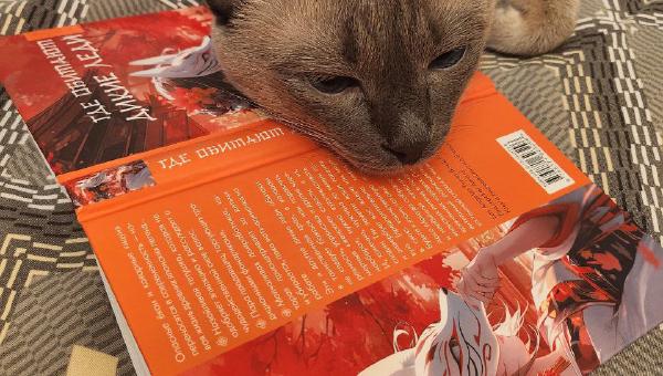 Featured image of post Ну читаем, ну и никак 😼