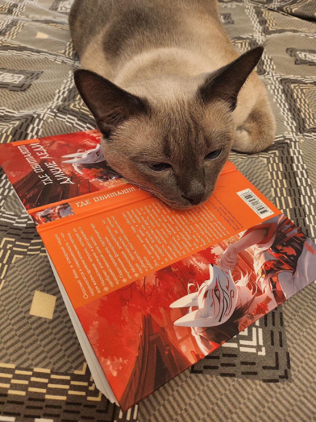 Featured image of post Ну читаем, ну и никак 😼