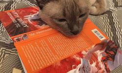 Featured image of post Ну читаем, ну и никак 😼