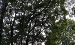 Featured image of post Если у меня гость, который \