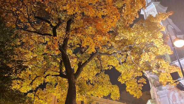 Featured image of post Контрасты улиц Петербурга ❤️🍁