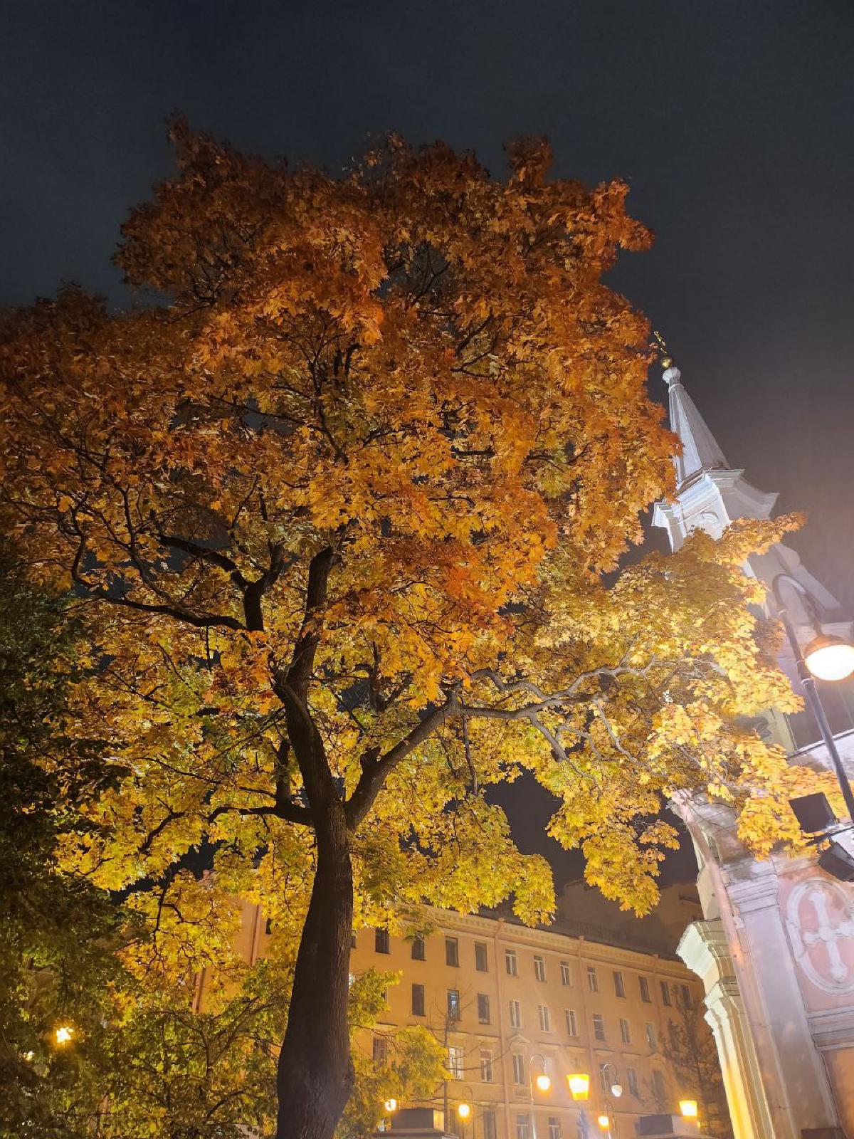 Featured image of post Контрасты улиц Петербурга ❤️🍁