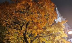 Featured image of post Контрасты улиц Петербурга ❤️🍁