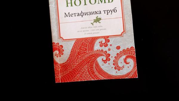Featured image of post Это лучшее, что я читала у Амели Нотомб 🔥